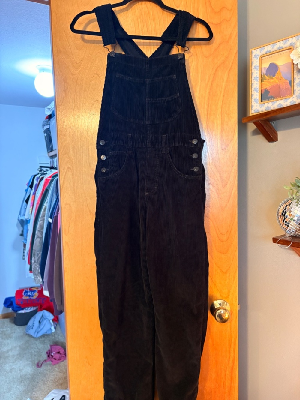 We The Free Ziggy Cord Overalls - Picture 3 of 7